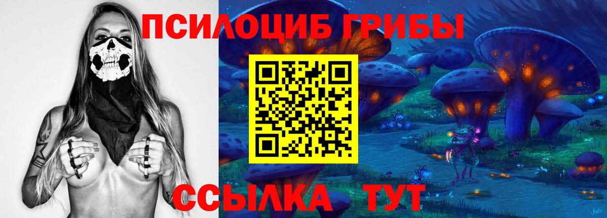Псилоцибиновые грибы MAGIC MUSHROOMS Сибай