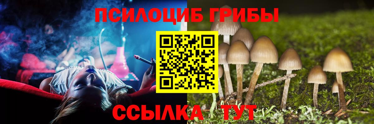 Галлюциногенные грибы GOLDEN TEACHER  Вход с VPN  Сибай 